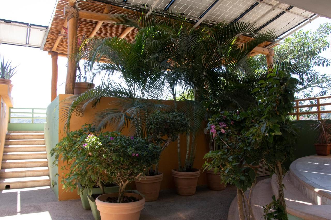 Mboutique Hotel Sayulita Exterior photo